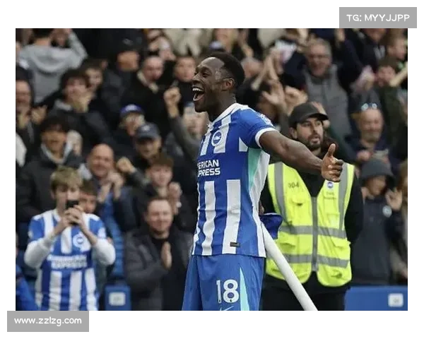 如何从维尔贝克的球场表现与个性特点理解其黑贝绰号的由来与意义